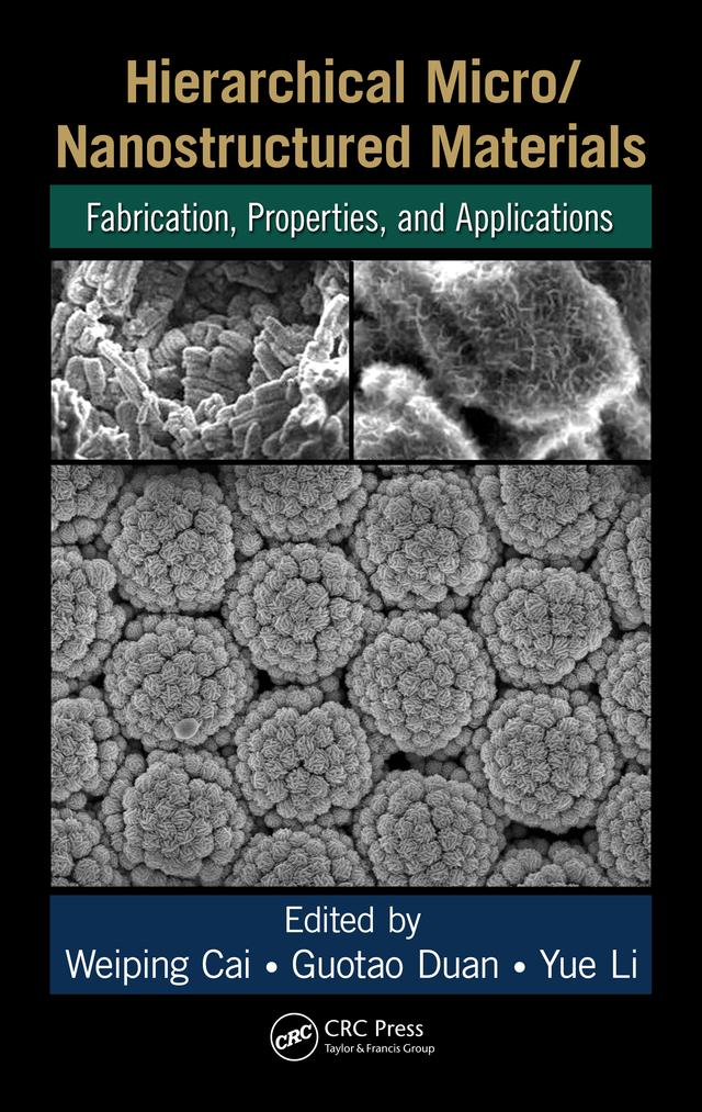 Hierarchical Micro/Nanostructured Materials by Guotao Duan, Weiping Cai, Yue Li