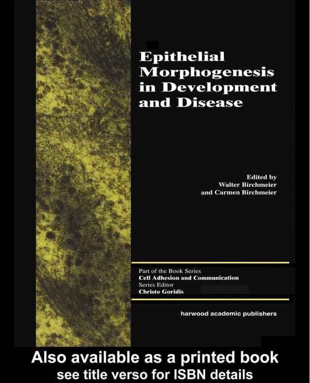 Epithelial Morphogenesis in Development and Disease
