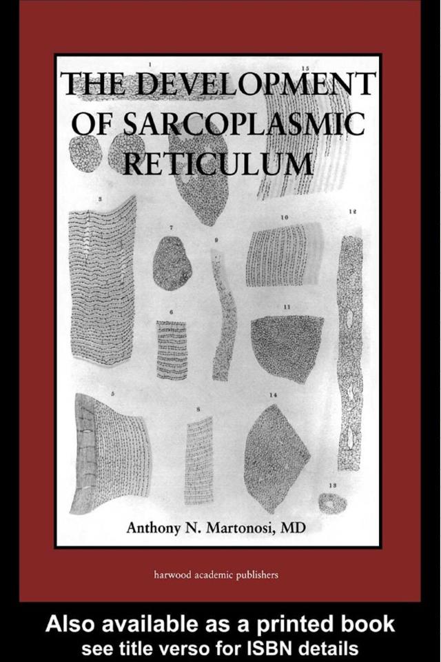 The Development of the Sarcoplasmic Reticulum by Anthony Martonosi