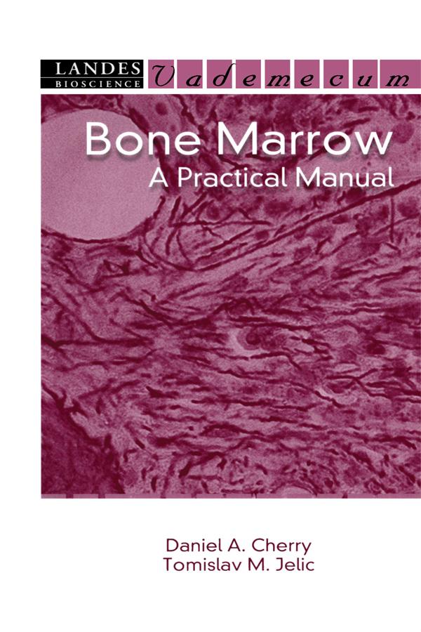 Bone Marrow
