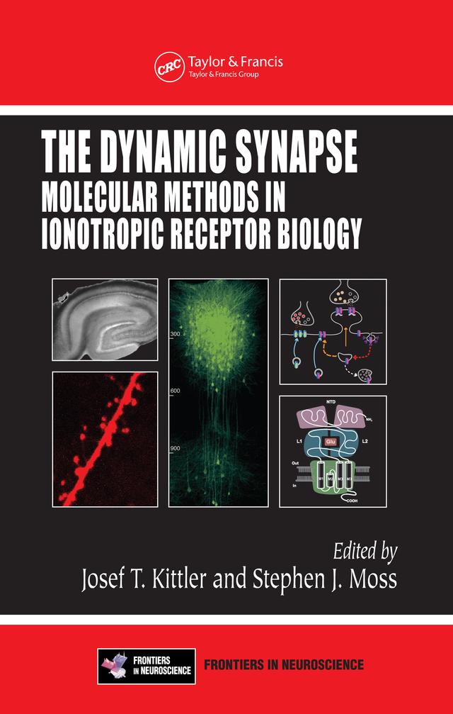 The Dynamic Synapse by Josef T. Kittler, Stephen J. Moss