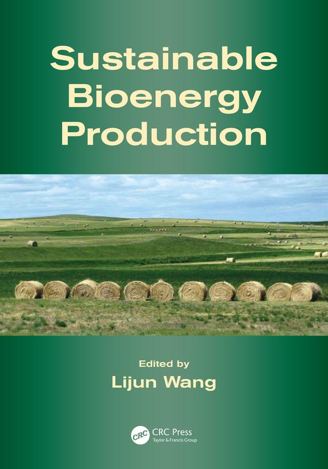 Sustainable Bioenergy Production by Lijun Wang