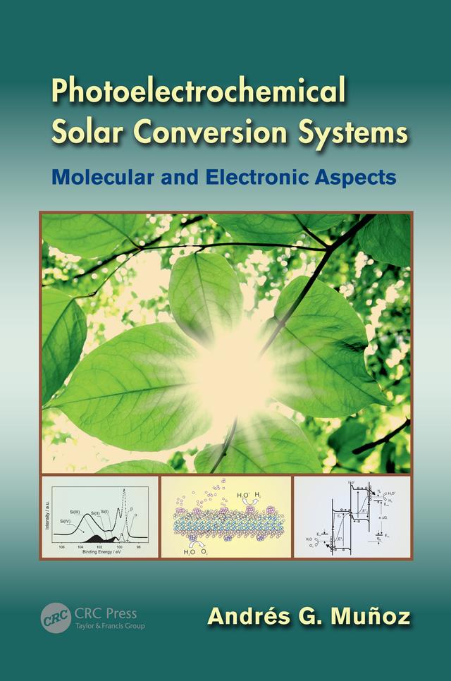 Photoelectrochemical Solar Conversion Systems by Andrés G. Muñoz