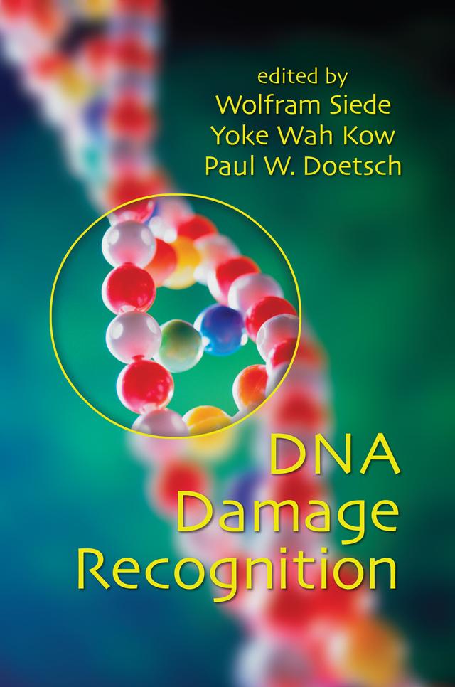 DNA Damage Recognition by Paul W. Doetsch, Wolfram Siede