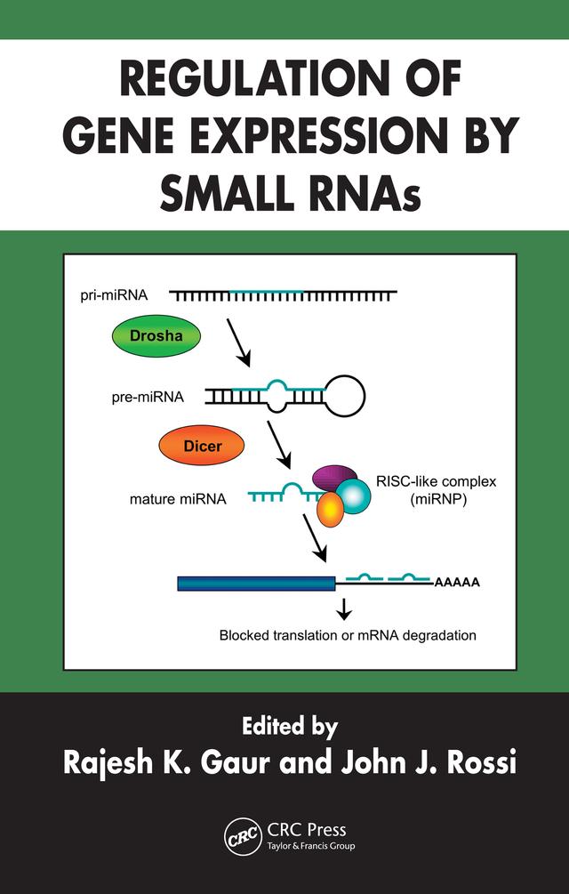 Regulation of Gene Expression by Small RNAs by John J. Rossi, Rajesh K. Gaur
