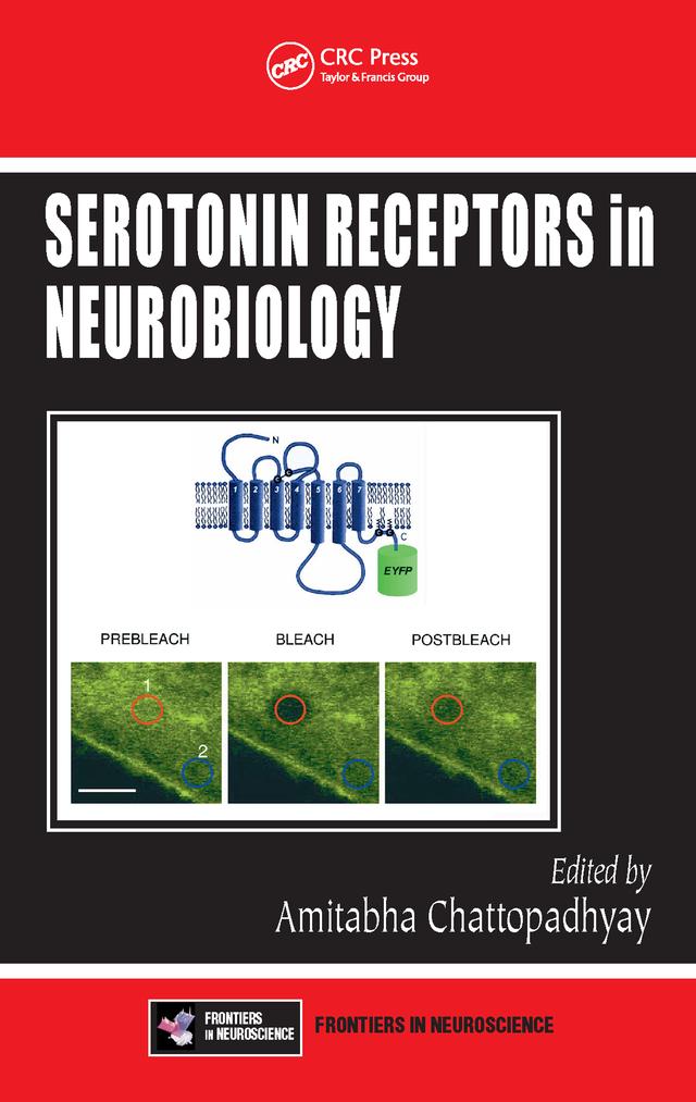 Serotonin Receptors in Neurobiology by Amitabha Chattopadhyay