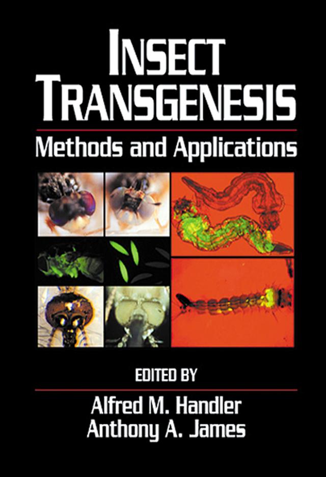 Insect Transgenesis by Alfred M. Handler, Anthony A. James