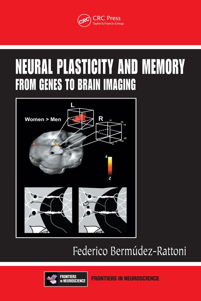 Neural Plasticity and Memory by Federico Bermudez-Rattoni