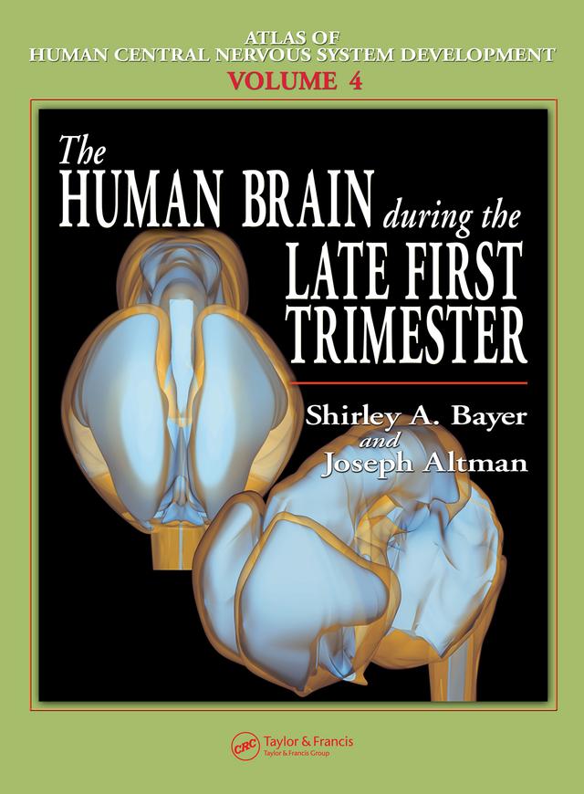 The Human Brain During the Late First Trimester by Joseph Altman, Shirley A. Bayer