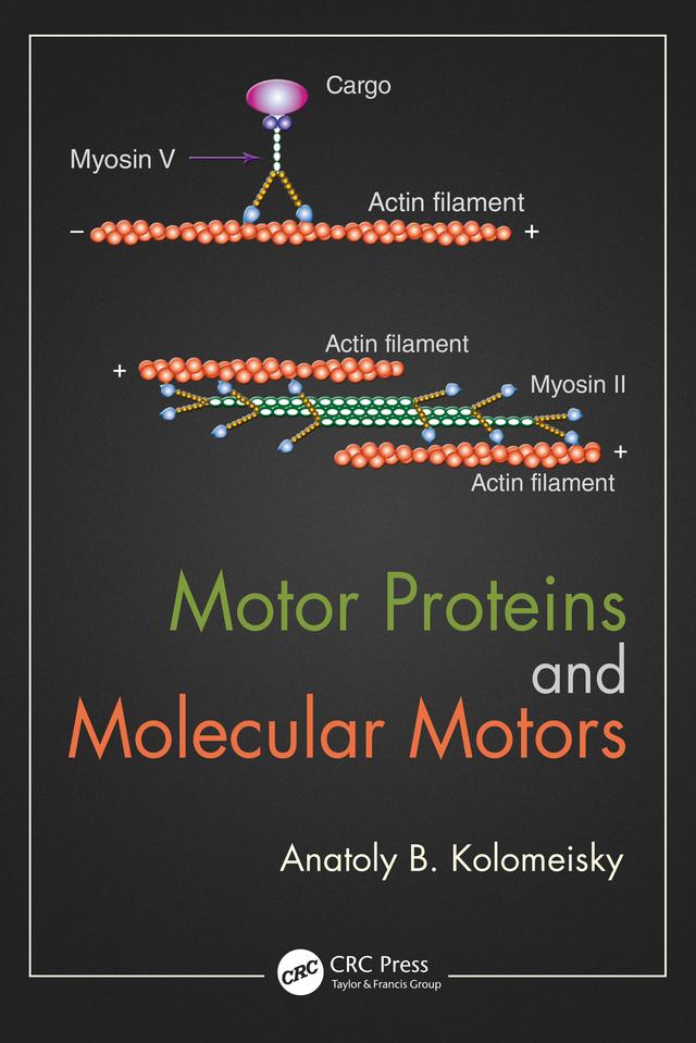 Motor Proteins and Molecular Motors by Anatoly B. Kolomeisky