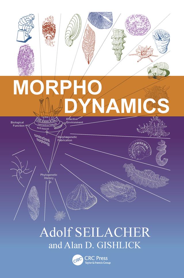 Morphodynamics by Adolf Seilacher, Alan D. Gishlick