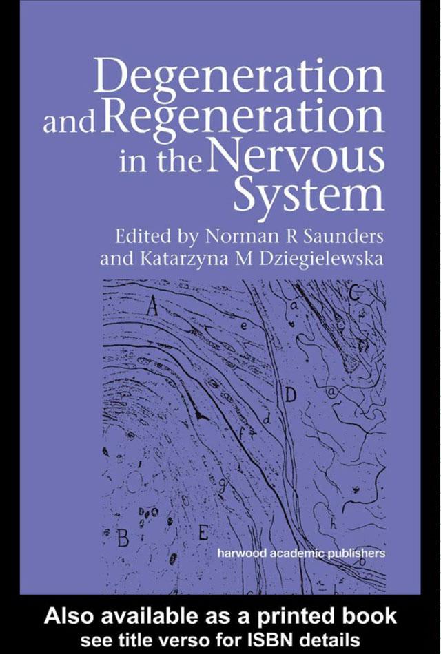 Degeneration and Regeneration in the Nervous System by Katarzyna Dziegielewska, Norman Saunders