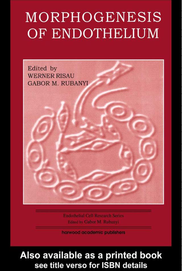 Morphogenesis of Endothelium by Gabor M. Rubanyi, Werner Risau