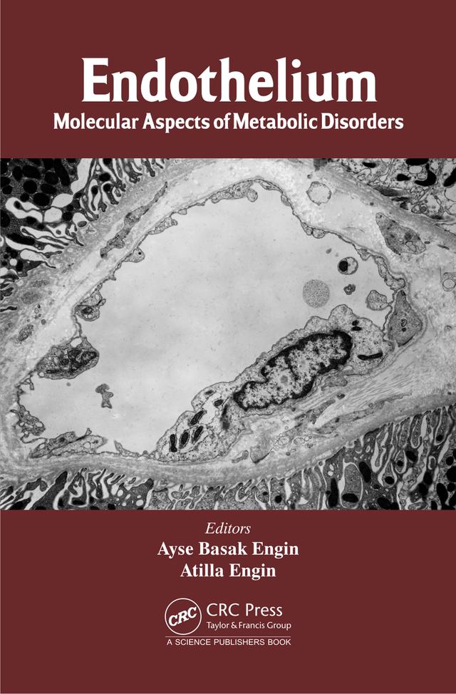Endothelium by Atilla Engin, Ayse Basak Engin