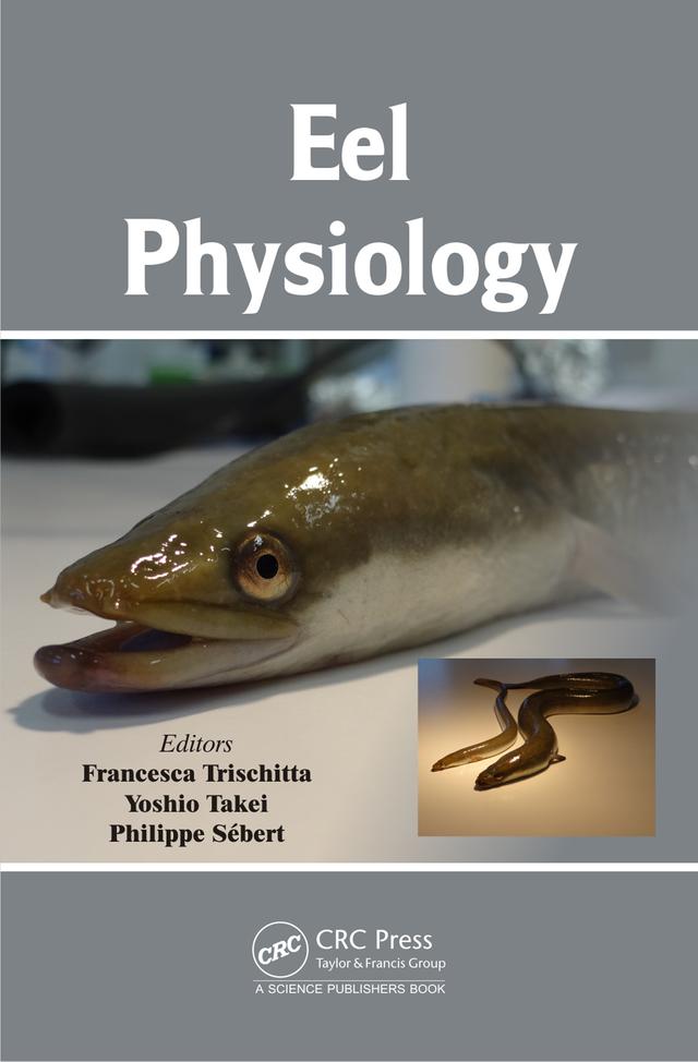 Eel Physiology by Francesca Trischitta, Philippe Sebert, Yoshio Takei