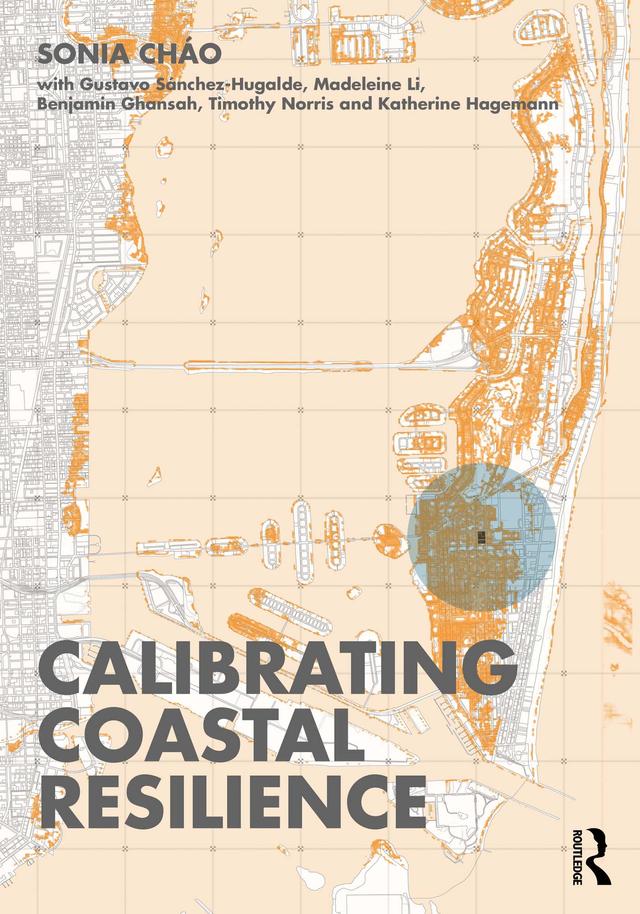 Calibrating Coastal Resilience by Sonia R Cháo