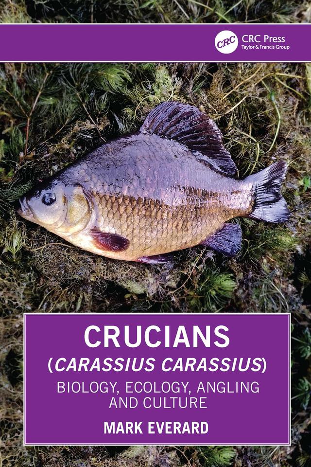 Crucians (Carassius carassius) by Mark Everard