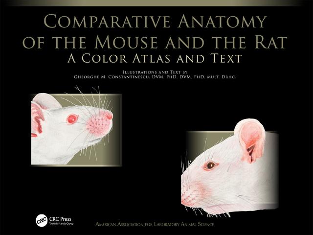 Comparative Anatomy of the Mouse and the Rat by Gheorghe M. Constantinescu