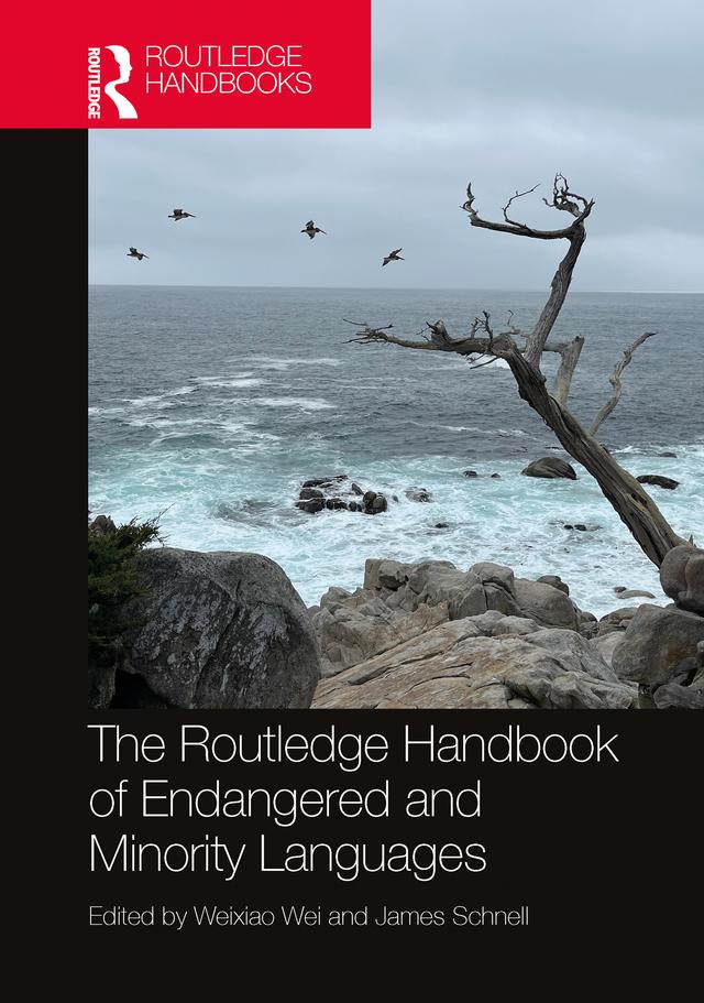 The Routledge Handbook of Endangered and Minority Languages by James Schnell, Weixiao Wei