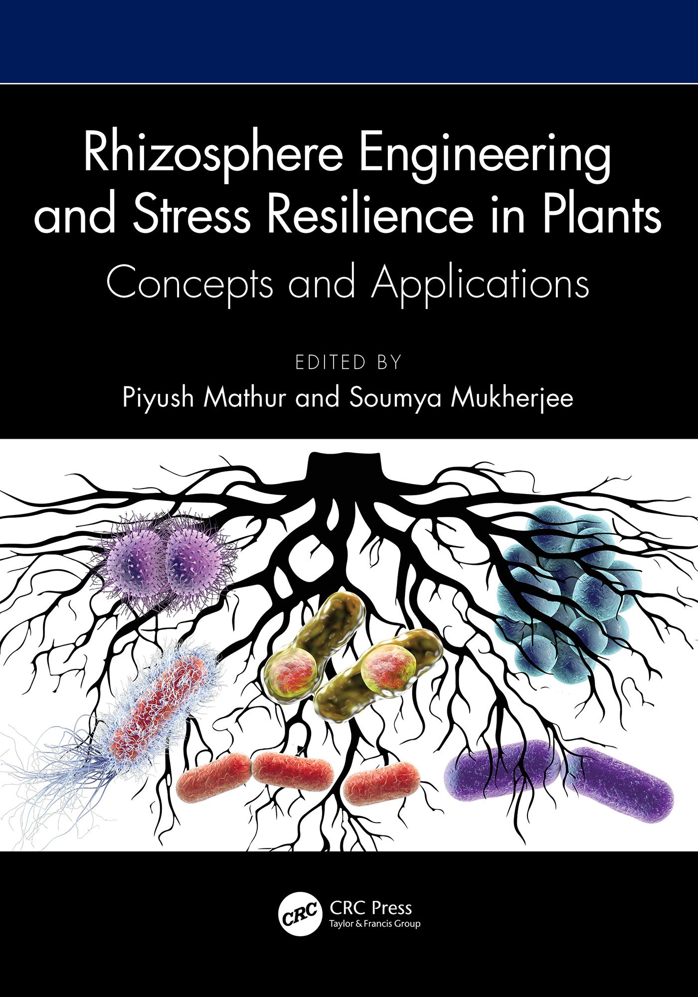 Rhizosphere Engineering and Stress Resilience in Plants