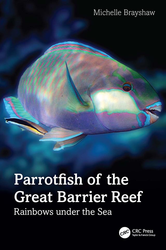 Parrotfish of the Great Barrier Reef by Michelle Brayshaw