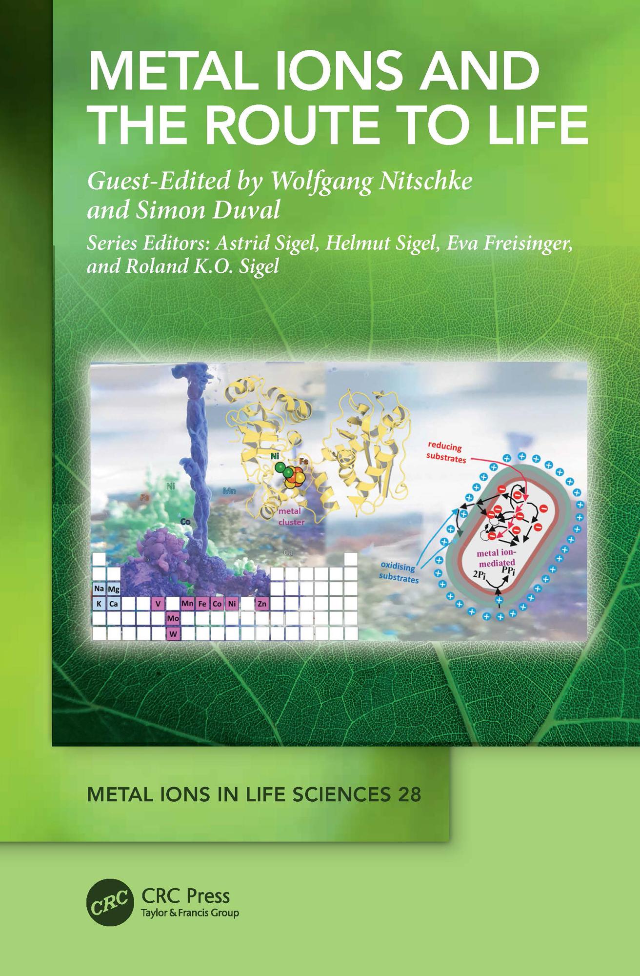 Metal Ions and the Route to Life