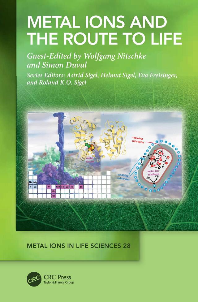 Metal Ions and the Route to Life by Simon Duval, Wolfgang Nitschke
