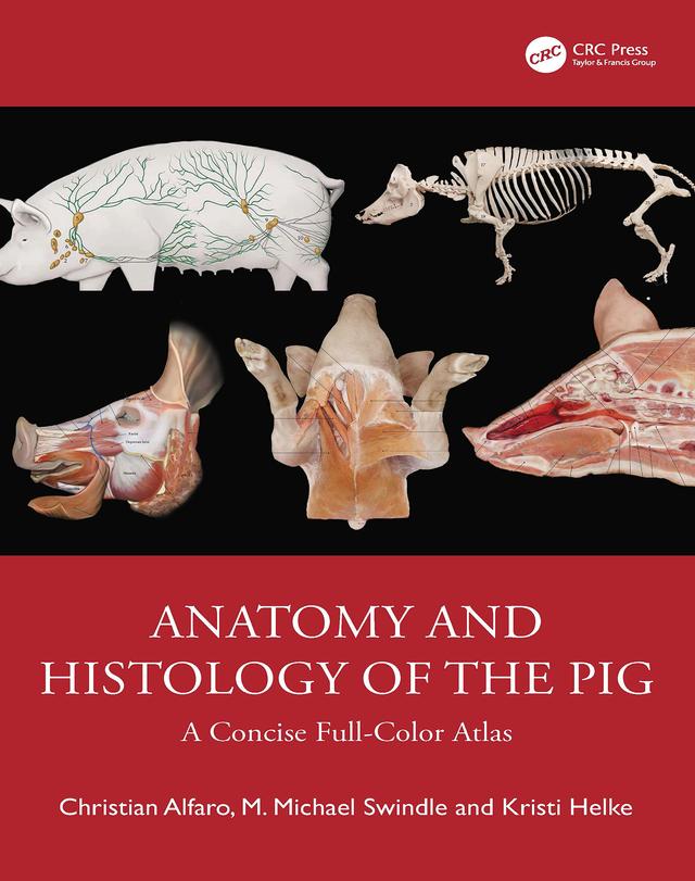 Anatomy and Histology of the Pig by Christian Alfaro, Kristi Helke, M Michael Swindle