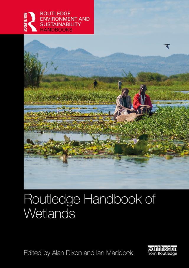 Routledge Handbook of Wetlands by Alan Dixon, Ian Maddock