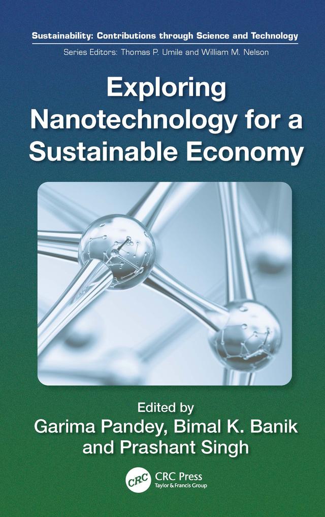 Exploring Nanotechnology for a Sustainable Economy by Bimal Krishna Banik, Garima Pandey, Prashant Singh
