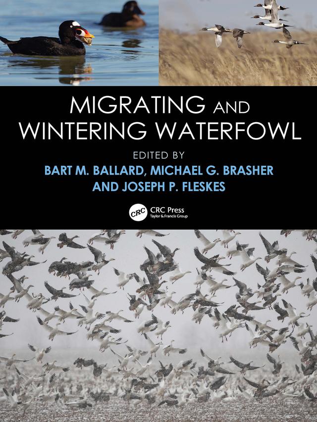 Migrating and Wintering Waterfowl by Bart M. Ballard, Joseph P. Fleskes, Michael G. Brasher