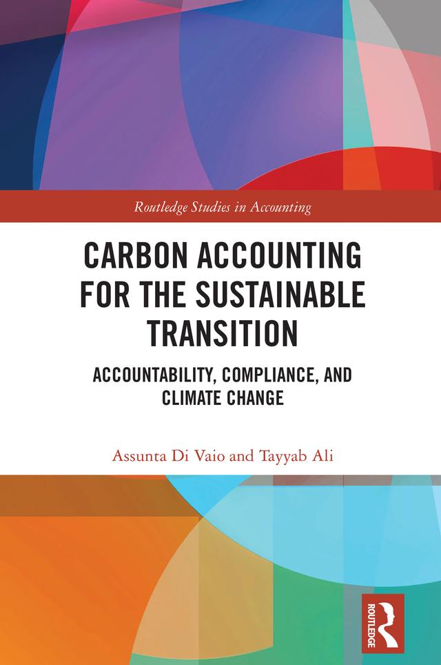 Carbon Accounting for the Sustainable Transition by Assunta Di Vaio, Tayyab Ali