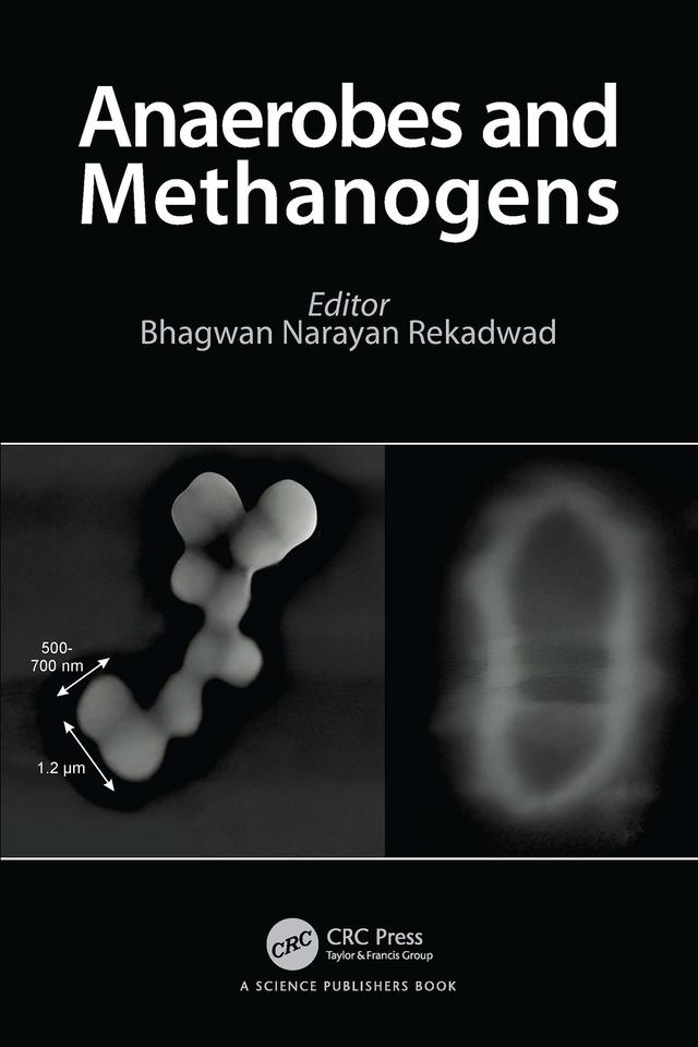 Anaerobes and Methanogens by Bhagwan Narayan Rekadwad