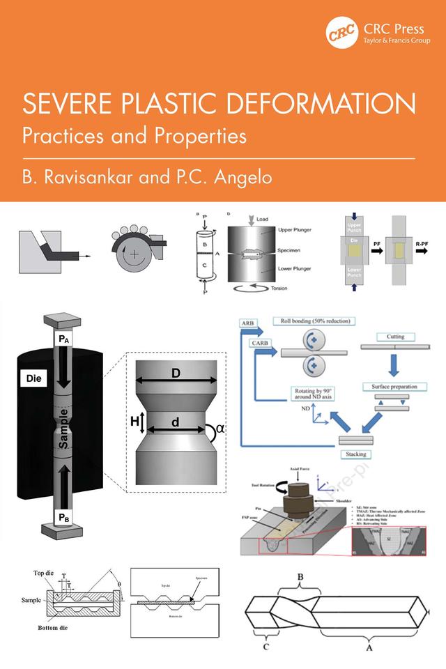 Severe Plastic Deformation by B. Ravisankar, P.C. Angelo