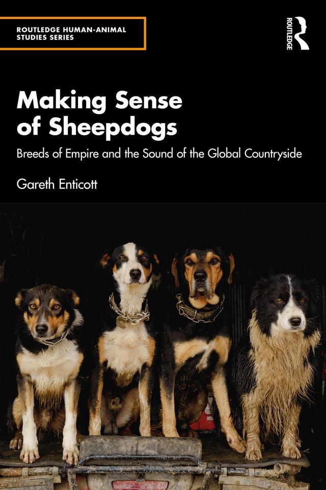 Making Sense of Sheepdogs by Gareth Enticott
