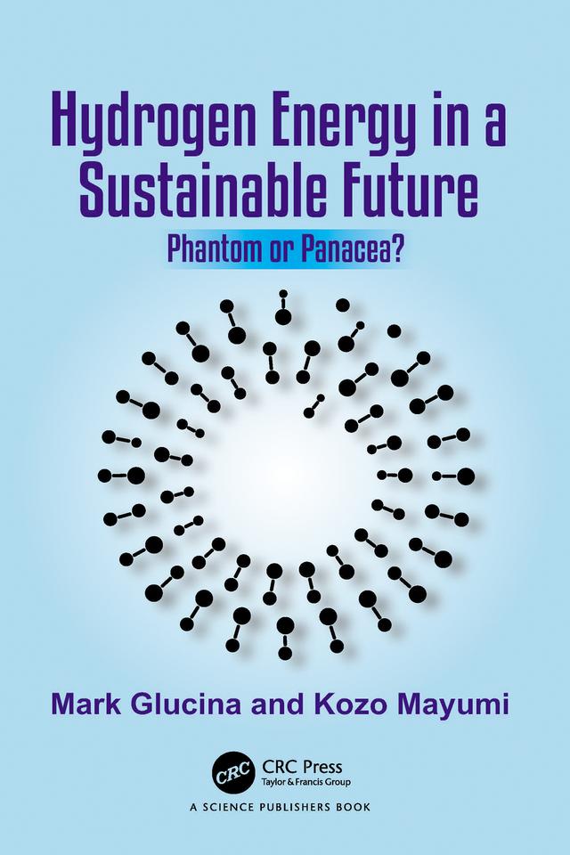 Hydrogen Energy in a Sustainable Future by Kozo Mayumi, Mark Glucina