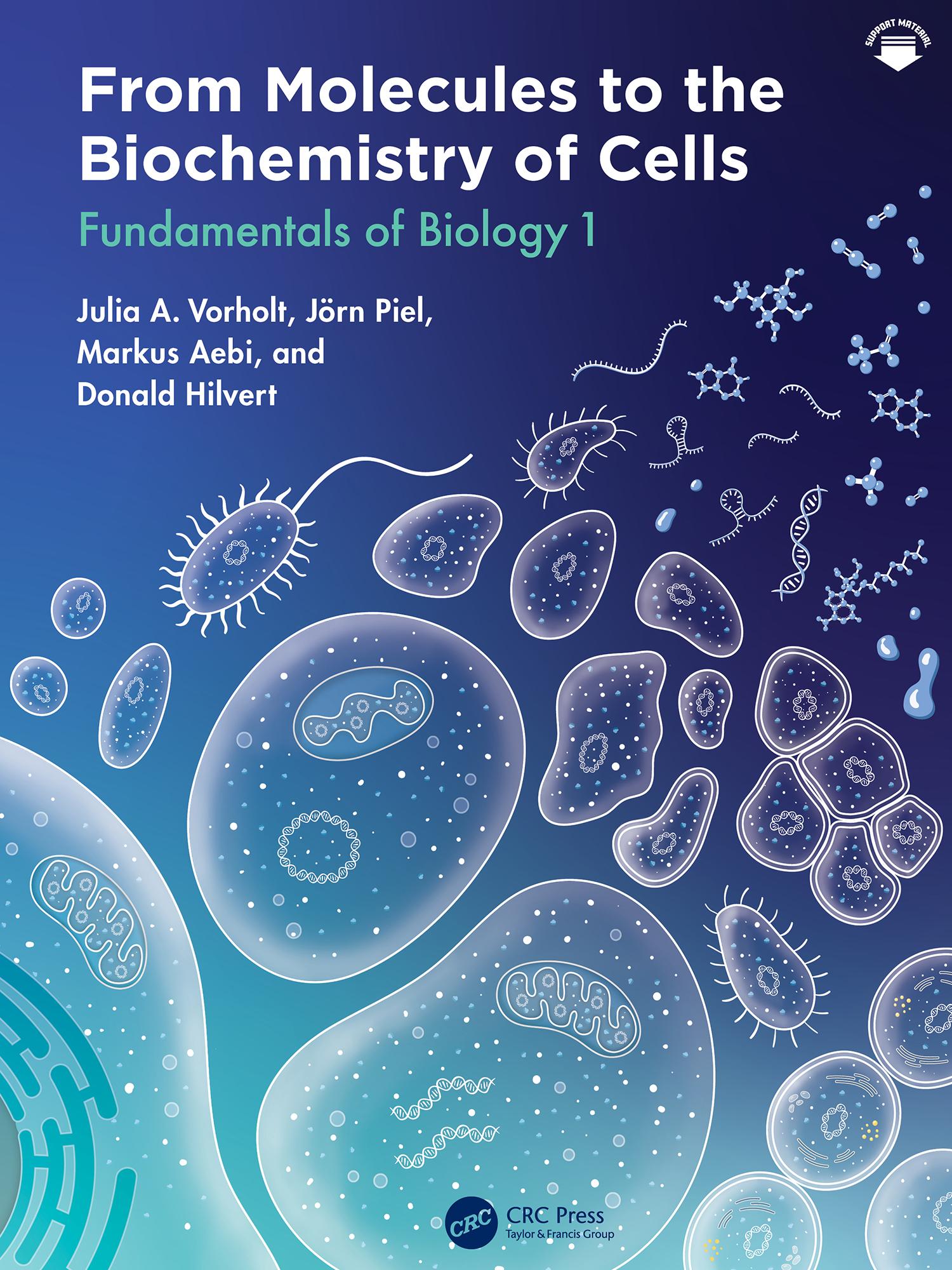 From Molecules to the Biochemistry of Cells