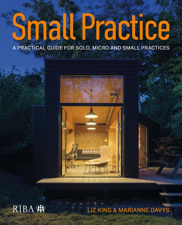 Small Practice by Liz King, Marianne Davys