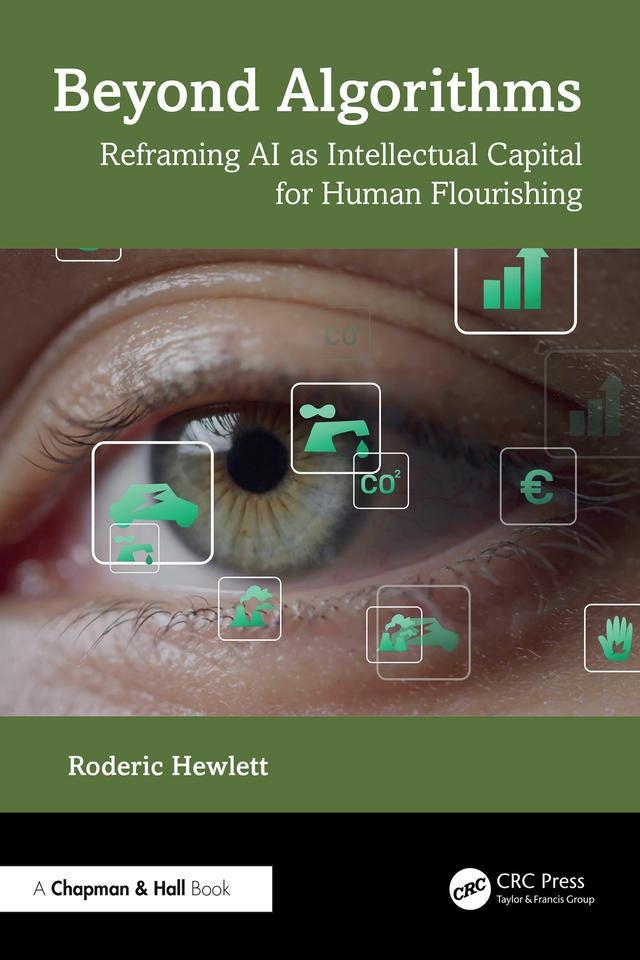 Beyond Algorithms by Roderic Hewlett