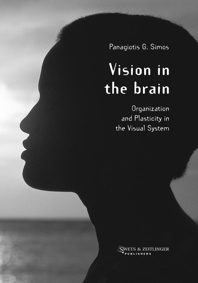 Vision in the Brain by P.G. Simos