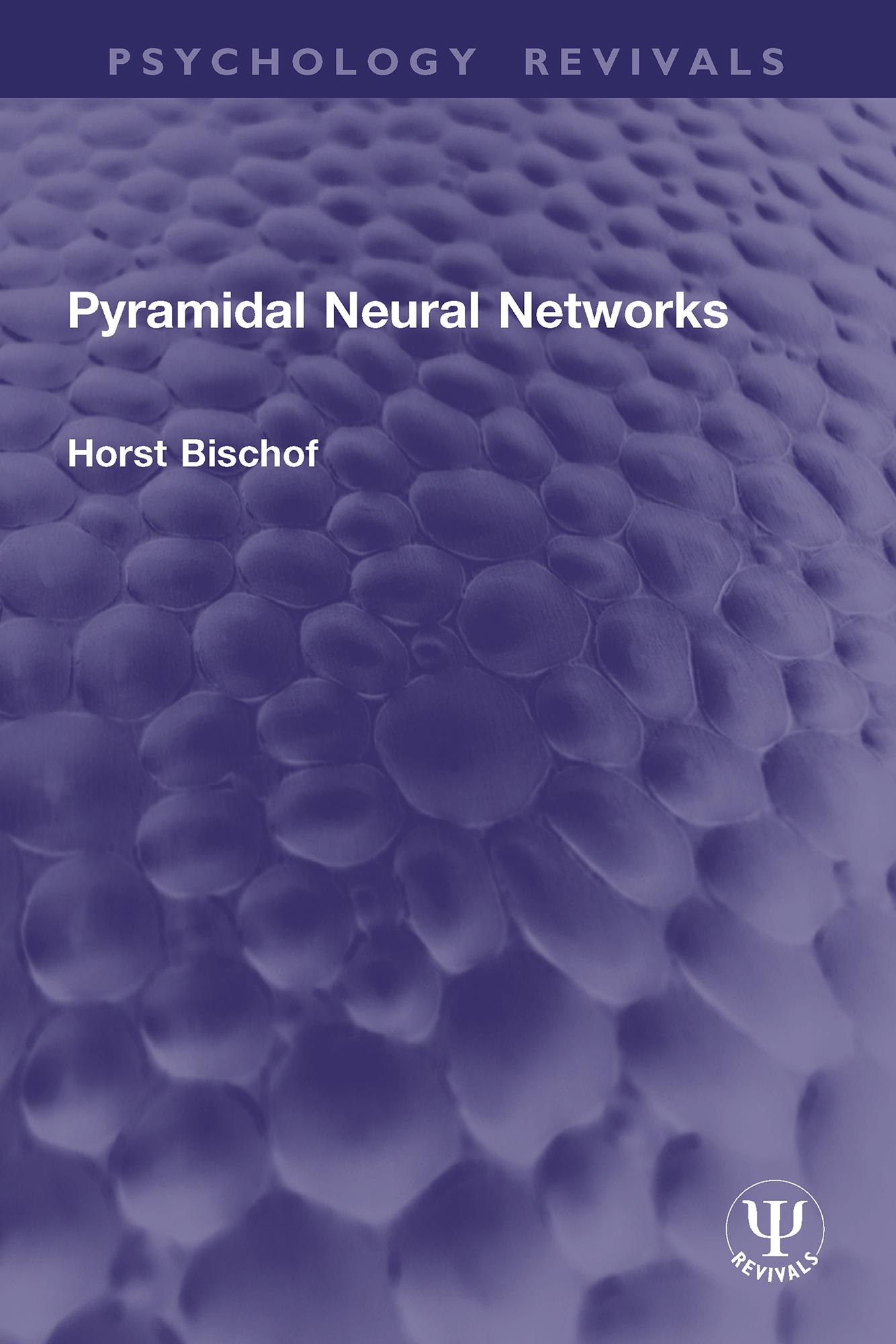 Pyramidal Neural Networks