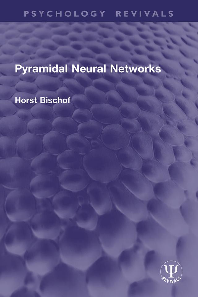 Pyramidal Neural Networks by Horst Bischof