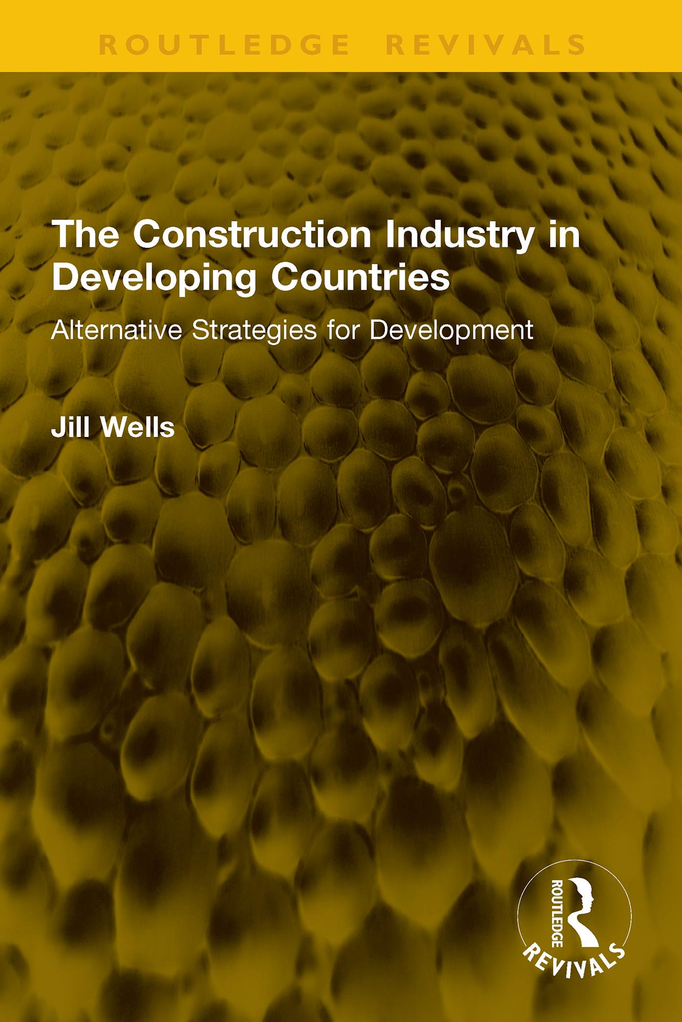 The Construction Industry in Developing Countries
