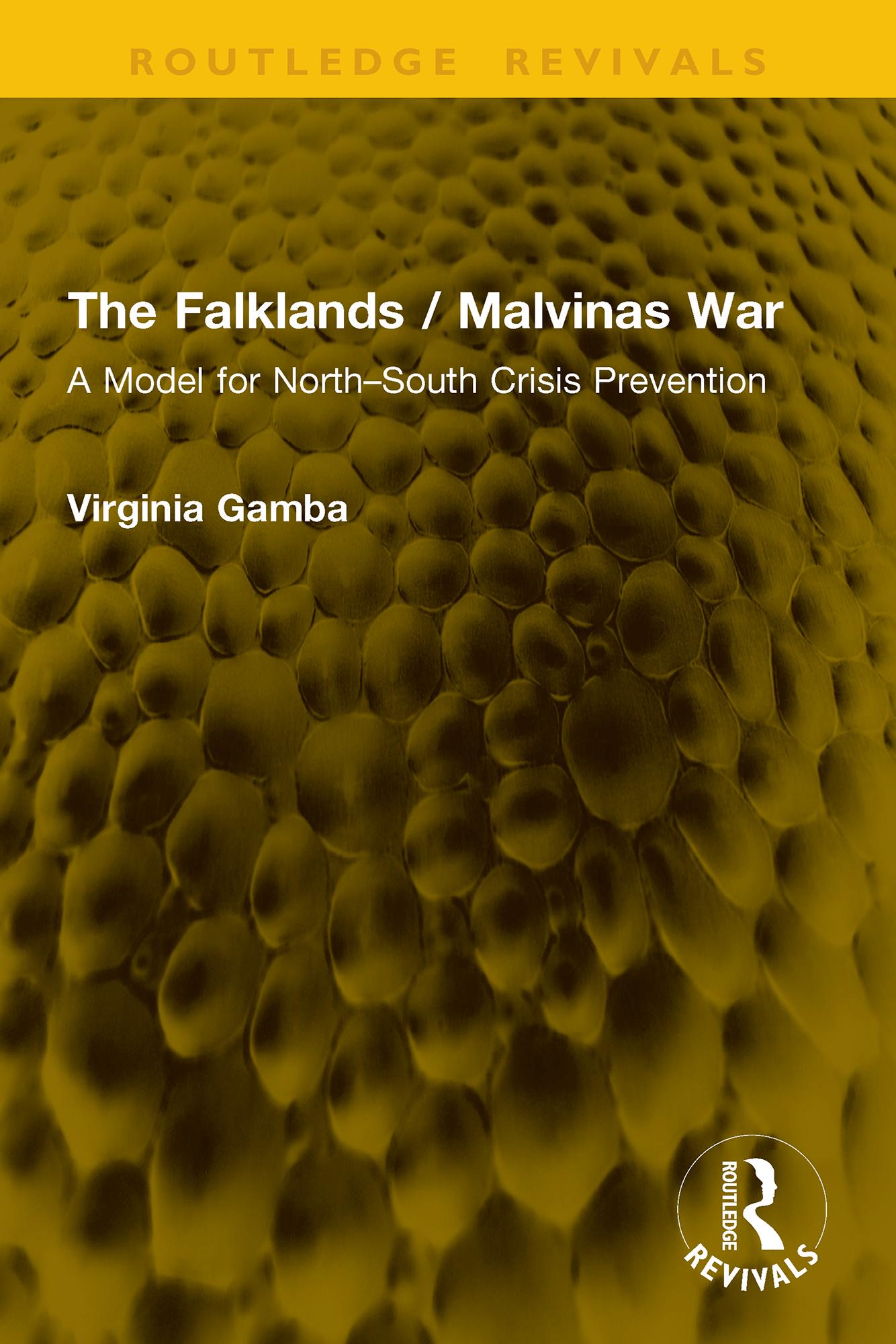 The Falklands / Malvinas War