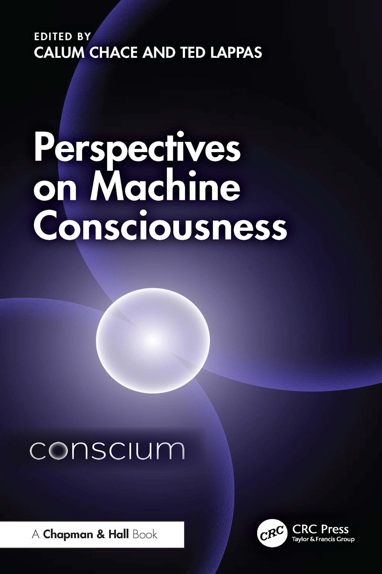 Perspectives on Machine Consciousness