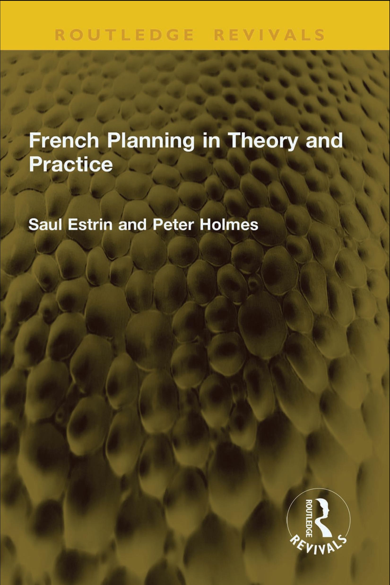 French Planning in Theory and Practice