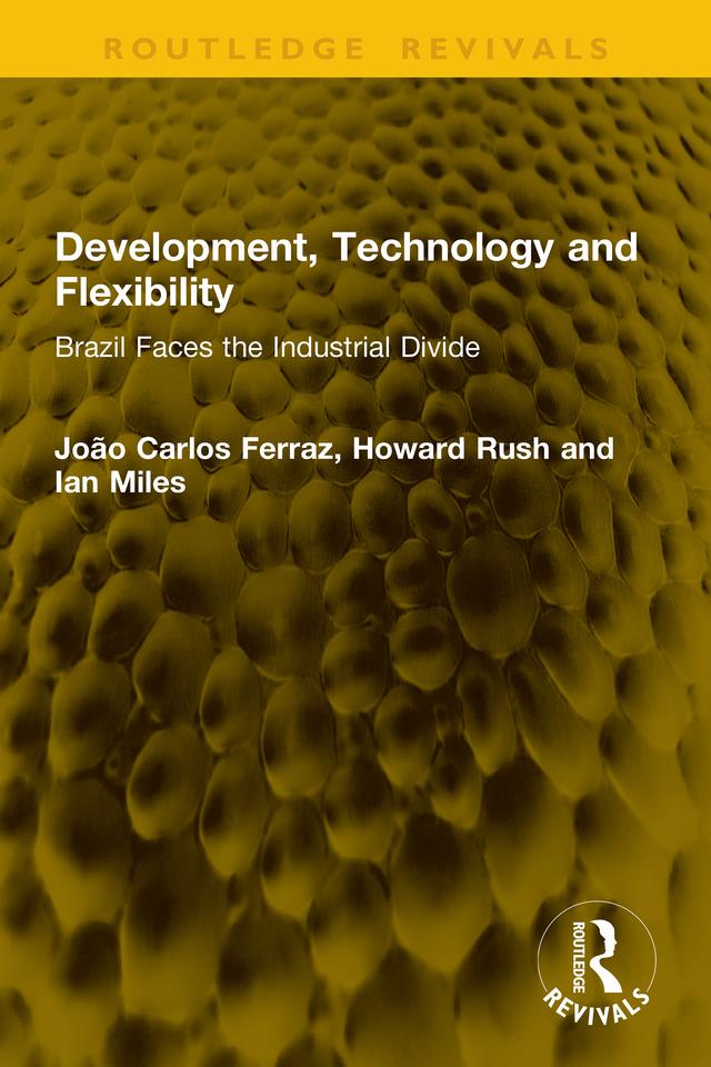 Development, Technology and Flexibility by Howard Rush, Ian Miles, João Carlos Ferraz