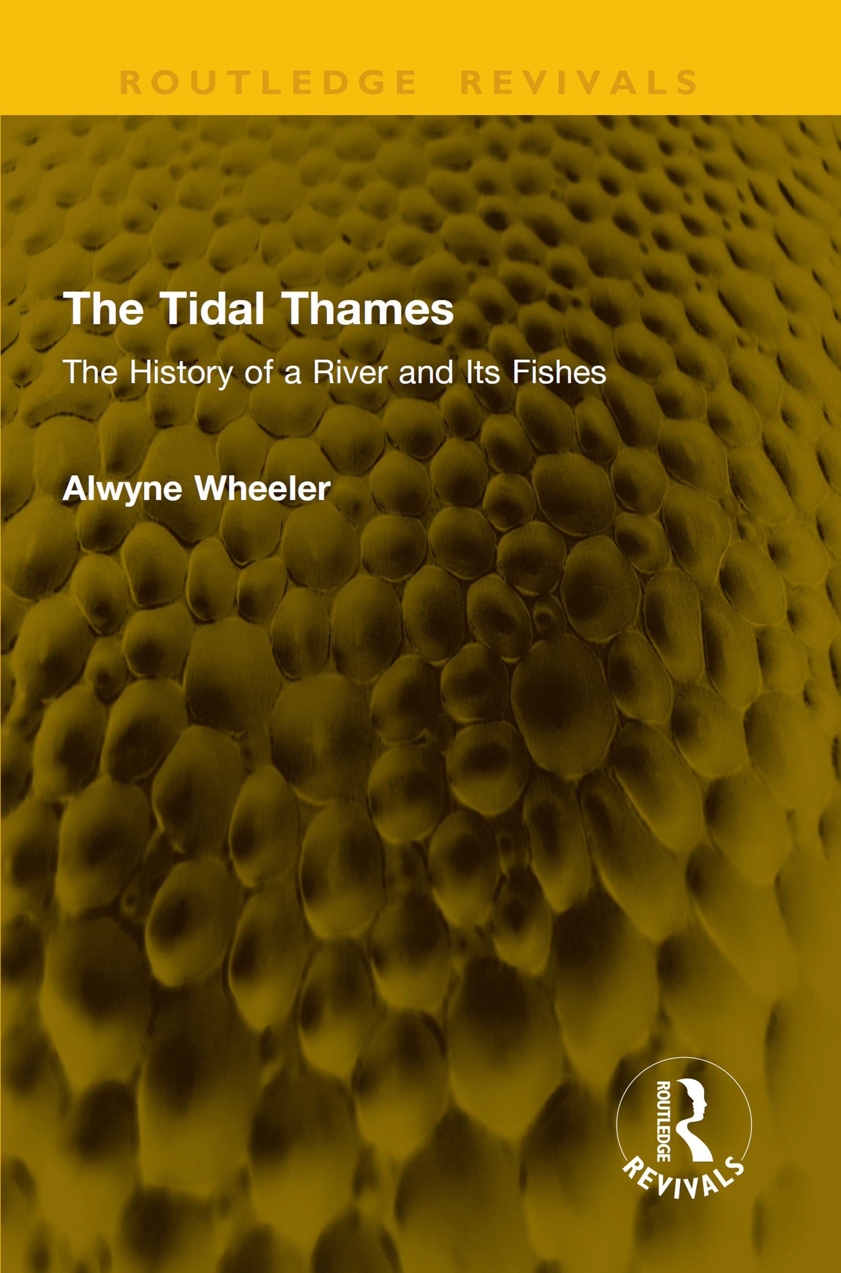 The Tidal Thames