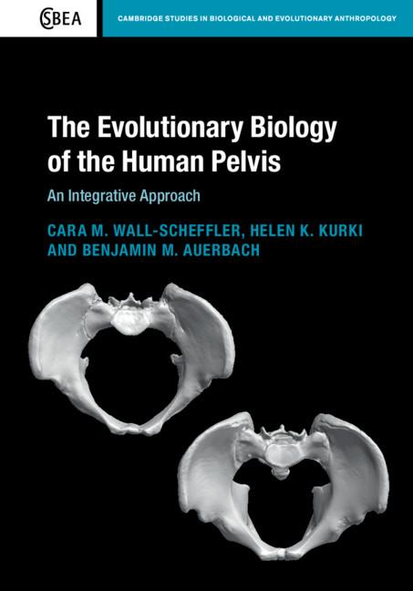The Evolutionary Biology of the Human Pelvis by Benjamin M. Auerbach, Cara M. Wall-Scheffler, Helen K. Kurki
