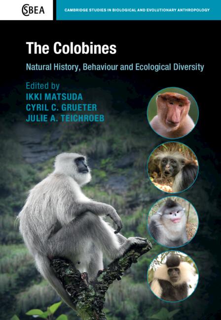 The Colobines by Cyril C. Grueter, Ikki Matsuda, Julie A. Teichroeb